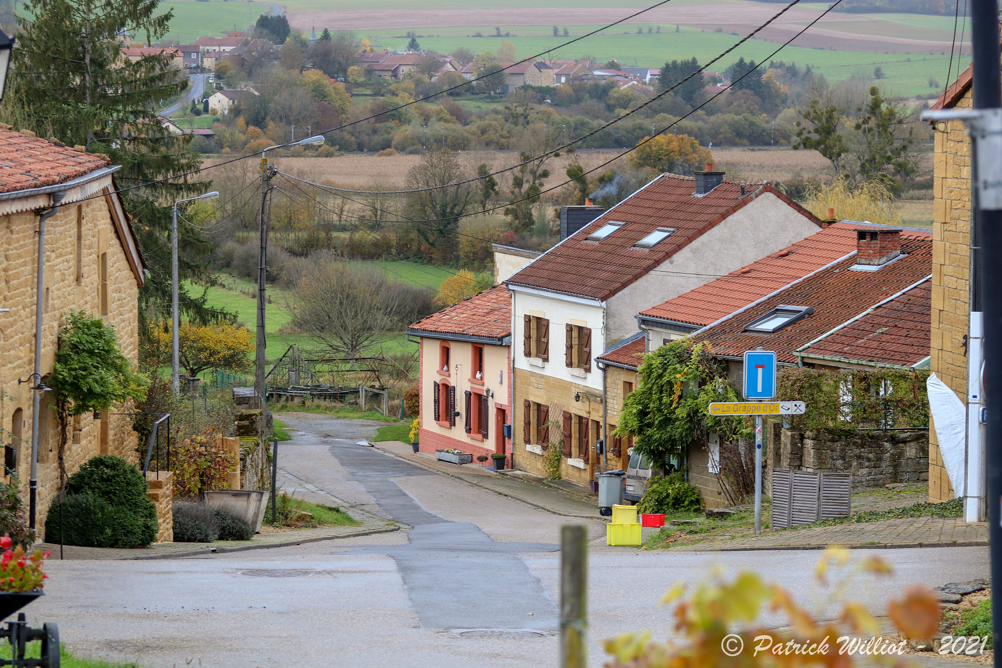 Torgny